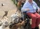 VISITE DU ZOO DE CERZA ! Résidence Normandia Trouville-sur-Mer